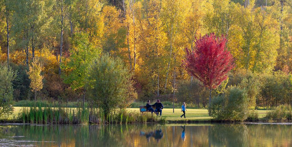 Distant view of a family enjoying a park among fall trees